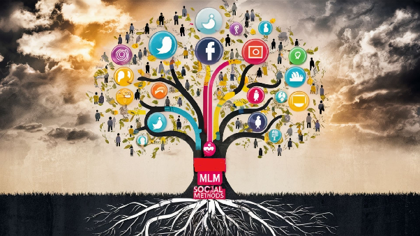Le MLM à l'heure des réseaux